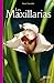 Les Maxillarias by