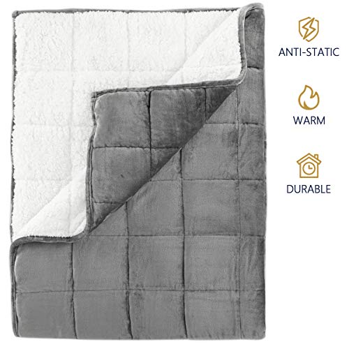 Mr.Sandman Sherpa Weighted Blanket for Adults 12lb Twin/Full Size Bed