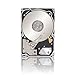 Seagate 1TB Constellation SATA 6Gb/s 64MB Cache 2.5-Inch Internal Bare Drive (ST91000640NS)