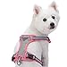 Blueberry Pet 9 Colors Soft & Comfy 3M Reflective Multi-Colored Stripe Mesh Padded No Pull Dog Harness Vest with Back Leash Clips, Medium, Pink, Emerald & Orchid