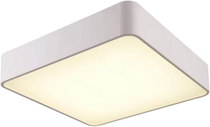 Fbright Led Ceiling Light, White