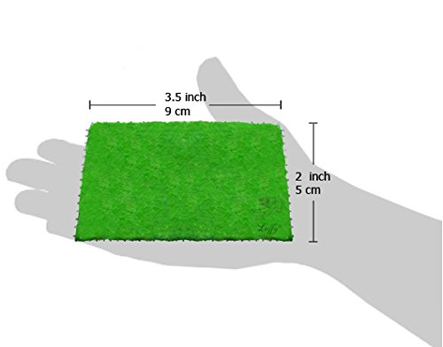 Luffy Moss, Lush Green Landscape in Aquarium, Natural Habitat for Aqua Pets, Create a Moss Carpet or Moss Wall, Thrive with Minimal Care