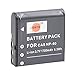 DSTE NP-40 Battery + DC73 Travel and Car Charger Adapter for Casio EX-FC100 FC150 FC160S Z400 PRO P505 P600 P700 ZOOM Z100 Z1000 Pentax XG-1 Camera as LB-060