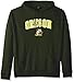 Elite Fan Shop NCAA Hoodie Sweatshirt Team Color Arch