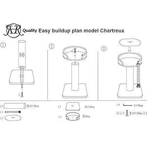 Tiragraffi per gatti grandi xxl Chartreux Grigio Chiaro maine coon robusto adulti grande gatto albero enormi giganti XL