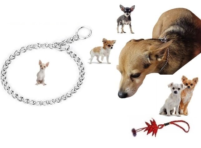 Stainless Steel Dog Collar - Heavy Duty Chain - All Breeds Small Medium Large for Training + 1 Amulet (XXXS L30 cm SP1.5 mm)
