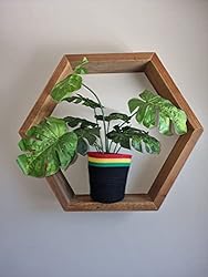 FREESPIRAL - Reggae Rope Basket for Single