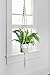 Organic Macramé Hanging Planter with Ceiling Hook, 42-inch Plant Hanger & Pot Holder for Succulents & House Plants, Handwoven Cotton, Indoor, Outdoor, Wall, Perfect for Small & Large Plants & Pots
