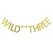 Selina.S Wild Three Banner, 3rd Birthday Party Decorating Sign Gold Gilter Hanging Bunting