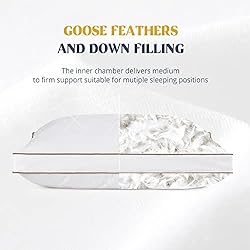 puredown Goose Feathers and Down Pillow for