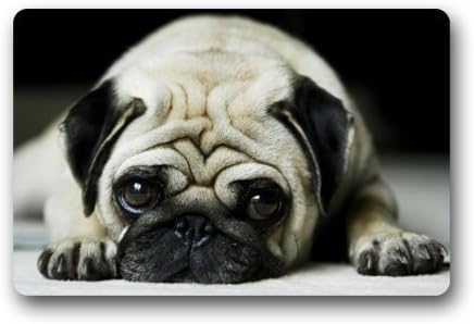 Funny Animal Sad Pug Dog Non-woven Fabric Door Mat Indoor/Outdoor/Bathroom Doormat Rugs for Home/Office/Bedroom 23.6"(L) x 15.7"(W)
