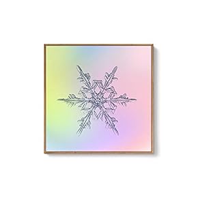 Framed Canvas Wall Art for Living Room, Bedroom Snowflake Theme Canvas Prints for Home Decoration Ready to Hang - 16x16 inches