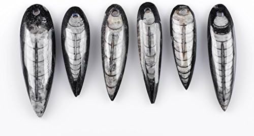 ThrowinStones Orthoceras Fossil Pendant - One Genuine Natural Orthoceras Fashion Jewelry Crystal Pendant, Reiki Crystals and Healing Stones E0358