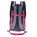 QUECHUA NH100 20-LITRE HIKING BACK PACK – PURPLE/GREY