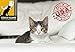 COUCH GUARD PINLESS Upholstery/Couch/Recliner CAT Claw Protector. Includes 2 SELF-Adhesive Protectors 18