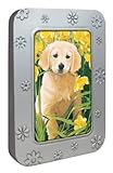 Tree-Free Greetings Noteables Notecards In Reusable Embossed Tin, 12 Card Assortment, Recycled, 4 x 6 Inches, Golden Puppy, Multi Color (76035)