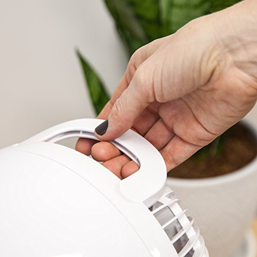 IRIS USA WOOZOO Oscillating Fan, Vortex Fan, Air Circulation, 3 Speed