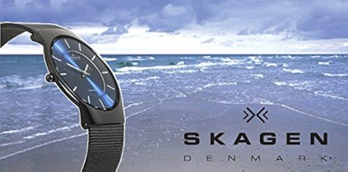 Skagen Men's Sundby Three-Hand Date Charcoal Gray Titanium Mesh