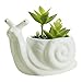 GeLive Ceramic Succulent Planter, White Snail Plant Pot with Drainage Hole, Animal Bonsai Holder Window Box for Cactus, Succulent Plants Home Office Garden Flower Pot Gifts for Plants Lover