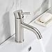 VCCUCINE Contemporary Single Handle Brushed Nickel Bathroom Faucet, Laundry Vanity Sink Faucet With Two 3/8