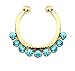 Aoyoho Pack of 5 Clip On Jewelry Fake Septum Clicker Nose Ring Non Piercing