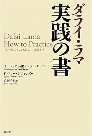 ダライ ラマ実践の書 ダライ ラマ14世テンジン ギャツォ ホプキンズ ジェフリー His Holiness The Dalai Lama Hopkins Jeffrey 宥洪 宮坂 本 通販 Amazon