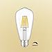 CRLight 6W Dimmable Edison Style Vintage LED Filament Light Bulb 3000K Soft White 60W Incandescent Replacement, E26 Medium Base Lamp ST64 Antique Shape, Clear Glass Cover 6-Pack