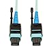 Tripp Lite MTP / MPO Patch Cable 100GBASE-SR10, CXP, 24 Fiber, 100GbE OM3 Plenum-rated - Aqua, 10M (33-ft.)(N846-10M-24-P)