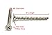 #8 X 2'' Stainless Flat Head Phillips Wood Screw, (100 pc), 18-8 (304) Stainless Steel Screws by Bolt Dropper