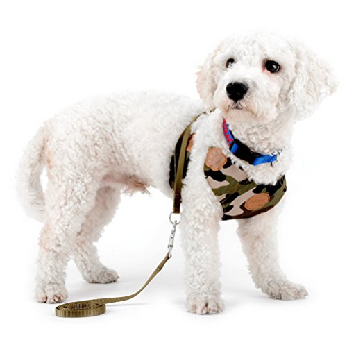 holuck dog harness