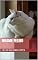 Livro Infame felino