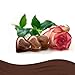 DOVE Chocolate Extra Large Valentine's Assorted Chocolate Candy Heart Gift Box 14.9-Ounce 40-Piece Tin