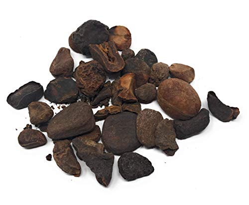 100% Pure, Natural Kola Nut - Organic Cola Nut | Super high caffeine amount of 4% - This nut (Colae Nuces) is how the first kola recipe received its caffeine kick