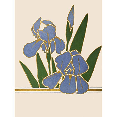 Wee Blue Coo Flower Iris Vintage Advert Flower Boddingtons Art Print Canvas Premium Wall Decor Poster