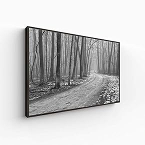 Canvas Wall Art for Living Room, Bedroom Monochrome Plants Framed Canvas Prints for Home Decoration Ready to Hang - 16x24 inches