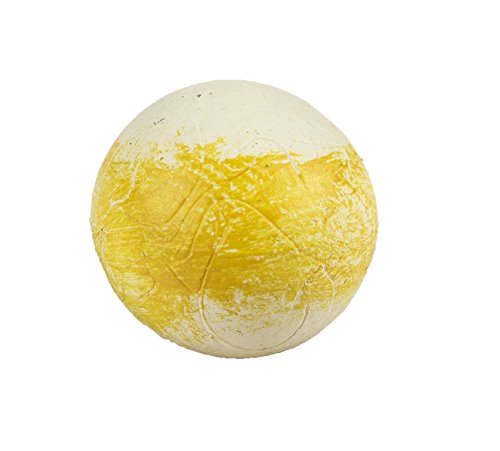 Safari Ltd  Safariology The Solar System