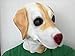 Rubber Johnnies Golden Labrador Dog Mask, Latex, Full Head, Canine, Animal Masks, Halloween, Party Accessory