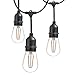 Newhouse Lighting Outdoor String Lights with Hanging Sockets | Weatherproof Technology | LED | Heavy Duty 25-foot Cord | 9 LED Filament Lights Bulbs Included (1 Free Replacement!)