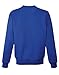 Champion Men's Cotton Max Crew