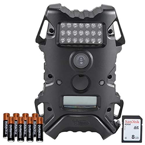 Best Video Surveillance Game & Trail Cameras Buying Guide GistGear