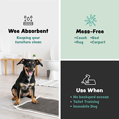 Disposable Puppy Pads Potty Training 10 Activated Charcoal Pee Pads