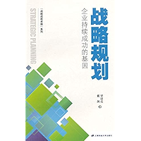 战略规划：企业持续成功的基因 (Chinese Edition) book cover