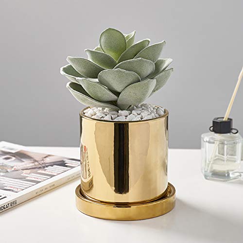 Macetas suculentas – Florero redondo de cerámica dorado para mini