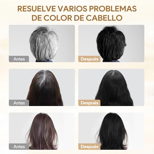 Black Hair Dye Shampoo 3 in 1, Shampoo para Canas con Tinte, Champú para Teñir el Cabello Negro, Champú Tinte Cubre Canas para Mujer y Hombres (500ML)
