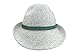 Essence Of Europe Gifts Men's Austrian Wool Hat W/Feather
