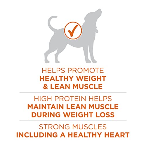 Purina ONE Plus Healthy Weight HighProtein Dog Food Dry Formula 31.1