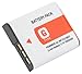 STK Sony NP-BG1 NP-FG1 Battery for Cybershot DSC-HX20V, DSC-H70, DSC-H90, DSC-HX9V, DSC-H20, DSC-HX5V, DSC-HX30V, DSC-W290, DSC-WX1, DSC-HX10V Cameras