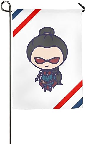 Atoggg Vayne Home Flags/House Flags/Garden Flags 12*18inch / 18*27inch