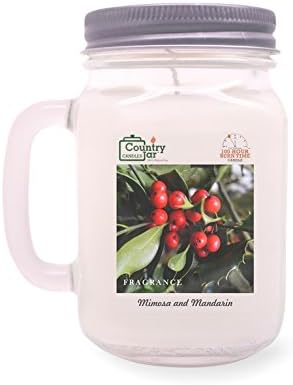 Mistletoe Soy Candle (Mason with Handle) 16 oz. - 100 Burn Hours - See Sale!