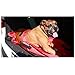 Transport Stretcher for Dogs | Emergency Animal Carrier with Safety Strap | 250 Pound Weight Limit | Pet Stretcher Size: 47 L X 29 W inches
